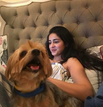 2028971090, female escort, Northern Virginia