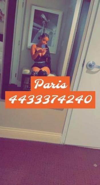 2407307653, female escort, Northern Virginia